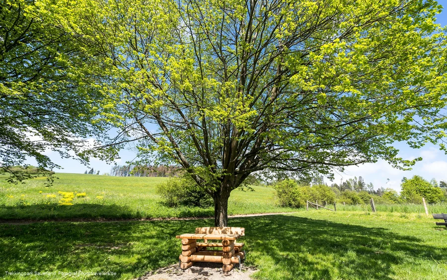 Trekkingplatz D3 - Rhenequelle bei Schweinsbühl