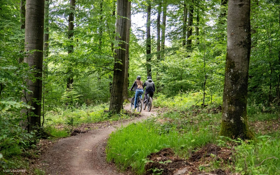 Green Trails Willingen Grosse Grube (3).jpg