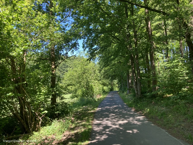 Auf dem Dräulzer Nr. 3 Steinbruchrunde.jpg