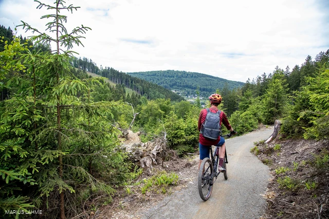 Green Trails Willingen Ruthenaar (3).jpg