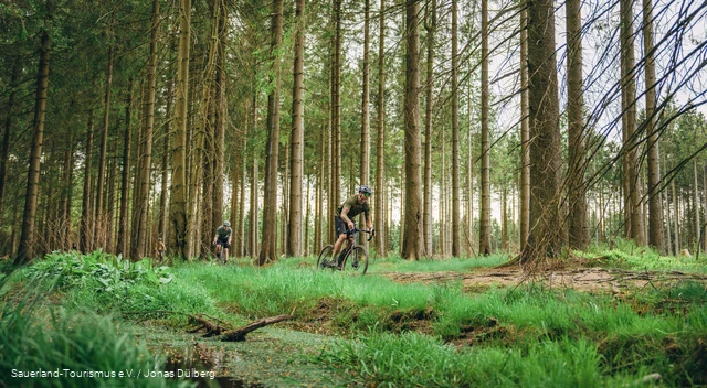 Gravelbiken fahren Singletrail